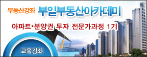 부일부동산