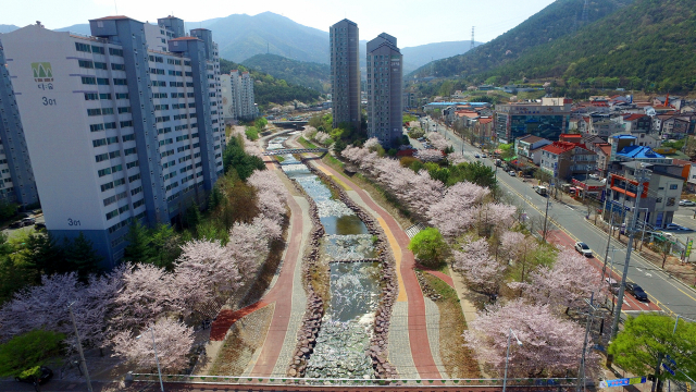 지난해 6월 국제슬로시티에 가입한 김해시가 슬로시티 감흥을 느낄수 있는 관내 5곳을 선정해 추천했다. 이들 5곳 중 장유신도시를 가로지르는 벚꽃이 만개한 대청천. 김해시 제공