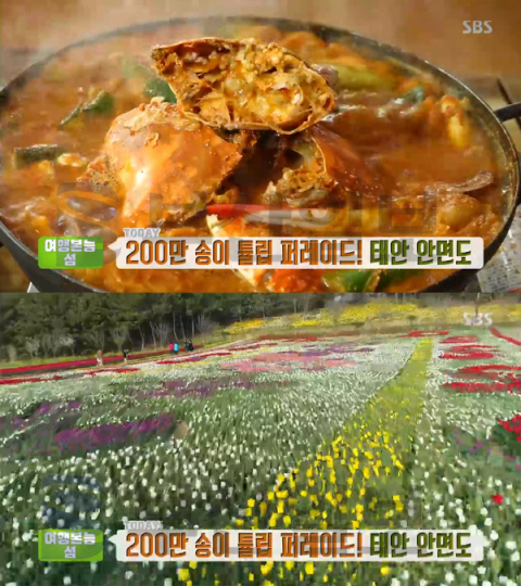 '생방송투데이' 태안 안면도, 세계튤립축제-독살-게국지-해루질…여행본능섬(오늘방송맛집)