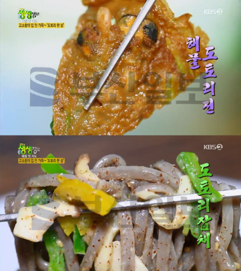 '2TV 생생정보' 용인 도토리 묵사발＆비빔국수, 모현읍 깊은산속다람쥐…대동맛지도(생생정보통 맛집오늘)