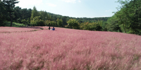 가을길 지나면 겨울에 닿겠지요