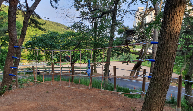 [단독] 숲체험관 만든다면서 소나무 뚫어 쇠봉 박은 남구청