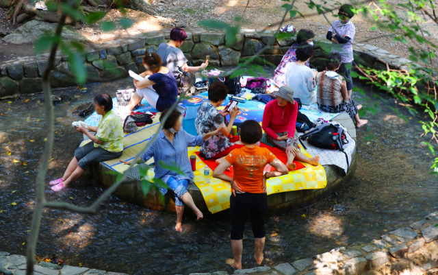 지난해 8월 폭염특보가 발령되자 부산진구 어린이대공원 성지곡수원지 아래 계곡을 찾은 시민들이 시원한 나무그늘에 앉아 더위를 식히고 있다. 부산일보DB