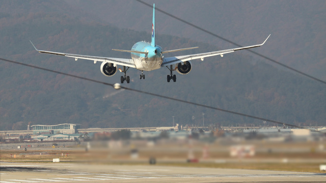 Gimhae New Airport Baek Ji-hwa nailed this month’s cabinet meeting