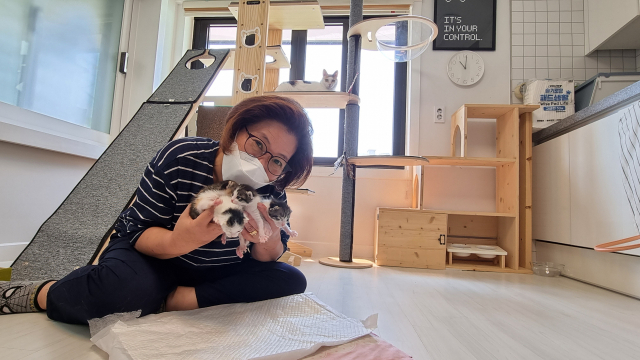 부산 서구 남부민동의 김남주 씨가 마련한 ‘고양이 하우스’. 김 씨는 길고양이를 위해 올해 초 14평 주택을 구입해 고양이 보호소를 만들었다.