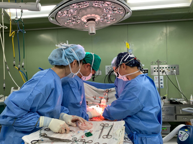 동아대병원 외과 김관우 교수 간이식 수술팀이 간암 환자를 대상으로 간이식 수술을 시행하고 있다. 동아대병원 제공