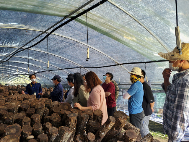 경남 밀양시 주관 버섯재배교육에 도시인들이 대거 참여했다. 밀양시 제공