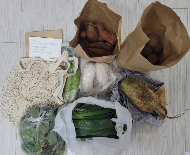 농산물이 예뻐야 하나요? 맛 좋은 ‘못난이’들 - 뉴스 썸네일 이미지