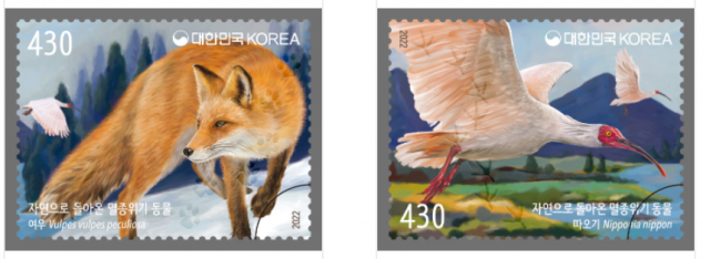 ‘자연으로 돌아온 멸종위기 동물’ 여우(왼쪽)와 따오기가 3일 기념우표로 발행된다. 우정사업본부 제공