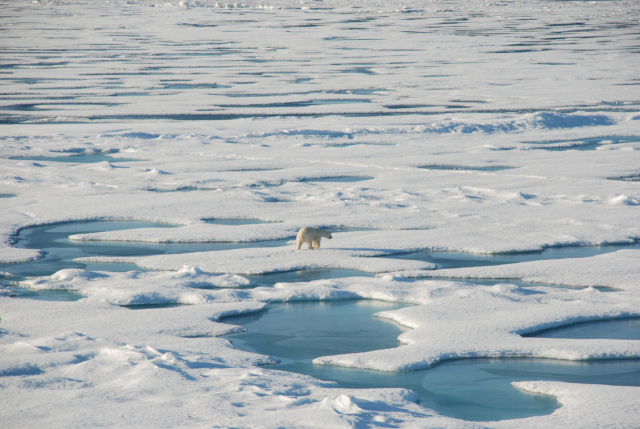 기후변화로 남·북극의 온난화가 그간의 예측보다도 빠르게 진행되고 있다는 연구 결과가 잇달아 나와 주목된다. 북극 해빙 모습. 극지연구소 제공