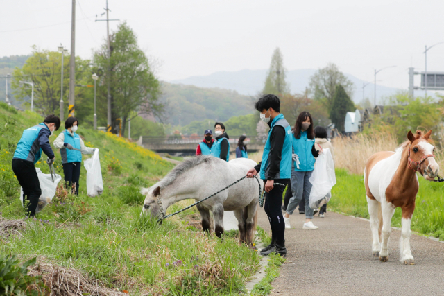 한국마사회 임직원들이 지난 4월 22일 ‘지구의 날’을 맞아 포니 3마리와 함께 환경정화 캠페인인 ‘말과 함께하는 플로깅’을 진행했다. 한국마사회 제공