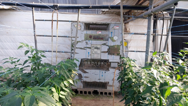 경남 진주지역 농민들이 시설하우스에서 파프리카와 고추 등을 재배하기 위해 전기온풍기를 가동하고 있다. 하지만 이들은 대폭 인상된 농사용 전기 요금 인상으로 생산비조차 건지기 힘든 상황이라며 울상을 짓고 있다.