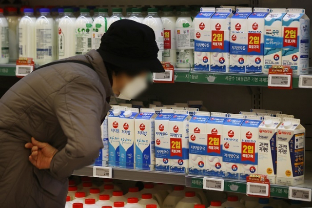 흰우유 원재료인 원유(原乳) 가격 인상에 따라 흰 우유를 비롯한 유제품 가격이 오른 가운데 서울의 한 대형마트에서 시민이 우유 제품을 고르고 있다. 연합뉴스