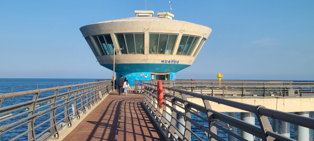국립해양과학관 바닷속전망대에서는 7m 아래 바닷속을 들여다볼 수 있다.
