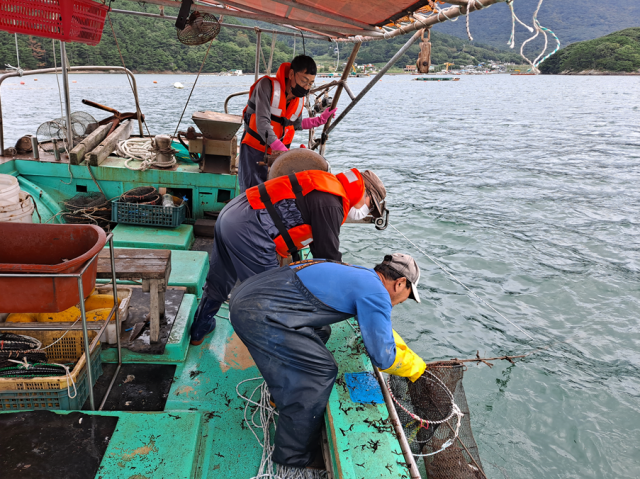 해양수산부는 어업인들의 금융부담을 덜어주고자 25일부터 올해 12월 31일까지 상환기일이 도래하는 주요 수산정책자금의 원금 상환을 1년간 유예한다고 24일 밝혔다. 통발어업 장면. 부산일보DB