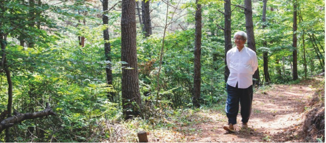 경남 고성 ‘동시동화나무의 숲’을 거닐고 있는 배익천 동화작가. 교육부 <행복한교육> 제공