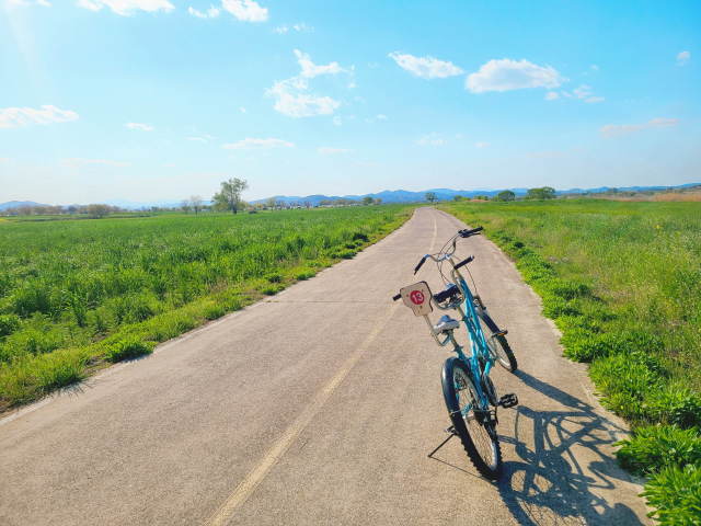 함안강나루생태공원은 공원 가장자리로 자전거 일주 도로가 나 있다. 자전거에 몸을 싣고 신나게 내달리다가도 주변 경치에 매료돼 자전거를 세워 놓는 일이 잦아진다.