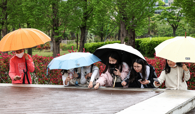 지난 16일 오후 부산시민공원에서 갑작스럽게 우박이 쏟아지자 아이들이 처음 보는 우박을 신기한듯 살펴보고 있다. 부산일보DB
