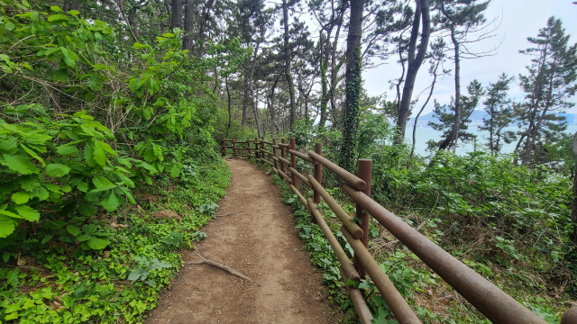 욜로 갈맷길 5코스의 이기대 해안산책로는 가파른 오르막이나 내리막에 덱 계단이 설치돼 있지만, 나머지는 산속 숲길이다.