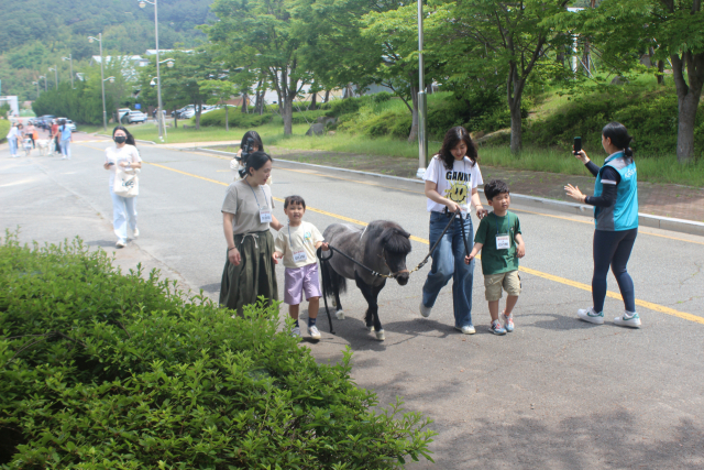 지난 8일 강서구 렛츠런파크 승마랜드에서 홀스테라피 참가자들이 말 ‘블랙펄’과 산책하며 즐거워하고 있다. 한국마사회 부산경남지역본부 제공