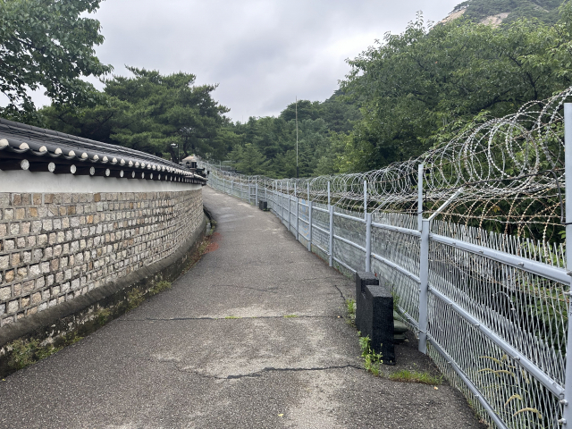 춘추관쪽 등산로 출입구를 따라 '청와대 전망대'로 오르는 길. 청와대 경계 성벽(왼쪽) 삼엄한 철조망이 대조를 이룬다.
