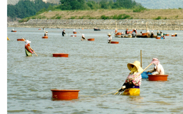 섬진강 일대 전통 재첩잡이 방식인 ‘손틀어업’이 우리나라 어업 분야 최초로 세계중요농업유산에 올랐다. 하동군 제공