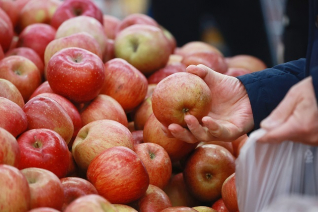 사과 등 과일 가격 오름세가 지속되는 가운데 서울 시내 한 대형마트에서 시민이 사과를 고르고 있다. 연합뉴스