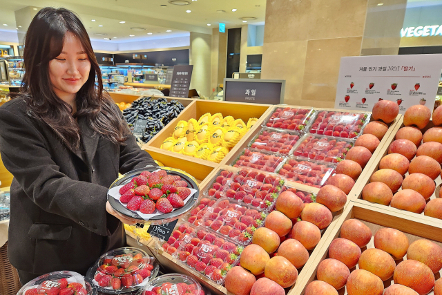 롯데백화점 센텀시티점은 15일부터 18일까지 4일간 지하 2층 광장 특설 행사장에서 밀양 얼음골 사과와 밀양 1943딸기 산지 직송 판매 행사를 진행한다. 롯데백화점 제공