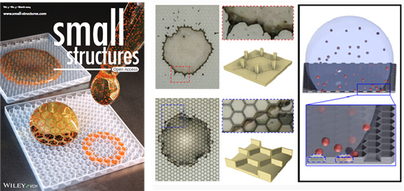 마이크로·나노 기술 및 구조 분야 국제 저명 학술지인 ‘Small Structures’ 논문 표지와 마이크로 구조 표면 기반 바이오센싱 플랫폼 도식도. 창원대 제공