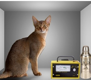 슈뢰딩거의 고양이 실험을 상상한 모습. 위키피디아