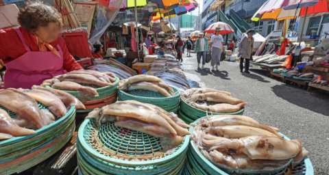 수산물 물가도 고공행진… 오징어 값 10년 새 3배