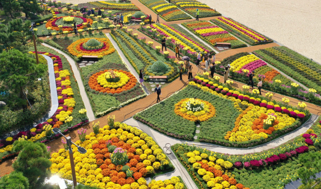 1번 기사 이미지