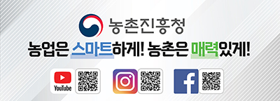 배너