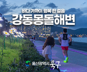 배너