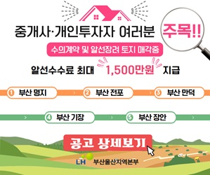 배너