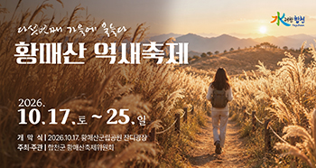 배너