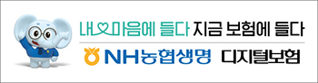 배너
