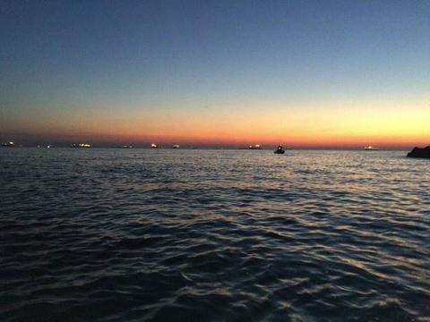 이른 새벽부터 장승포항을 나서 무늬오징어 팁런 낚시를 시작했다.