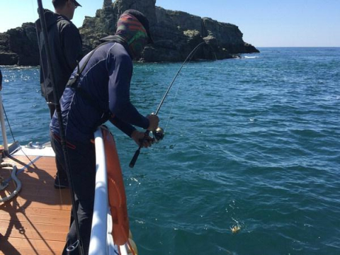 부산 꾼들이 물골을 노려 연달아 무늬오징어를 낚아내고 있다.