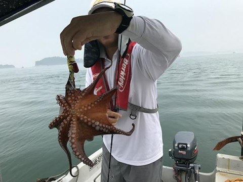 직접 모는 선외기를 타고 하는 남해 문어 낚시는 포인트 이동이 자유롭다.
