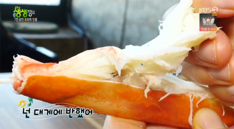 사진-'2TV 생생정보' 방송화면