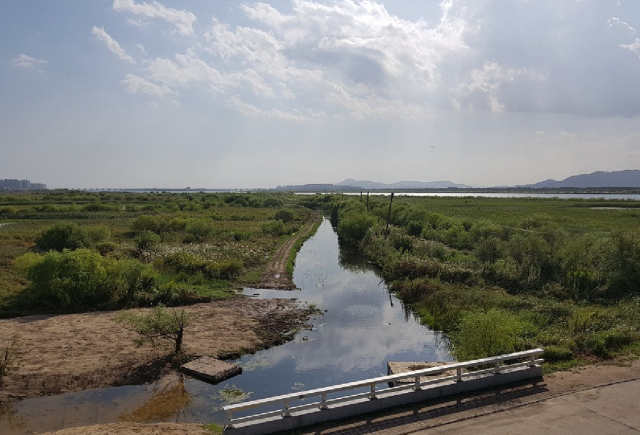 낙동강 생태공원 샛강 모습. 부산시 제공
