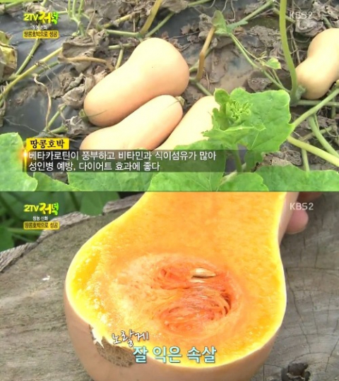 사진-KBS 방송화면