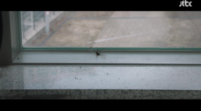 사진-JTBC '스카이캐슬' 방송화면 캡처