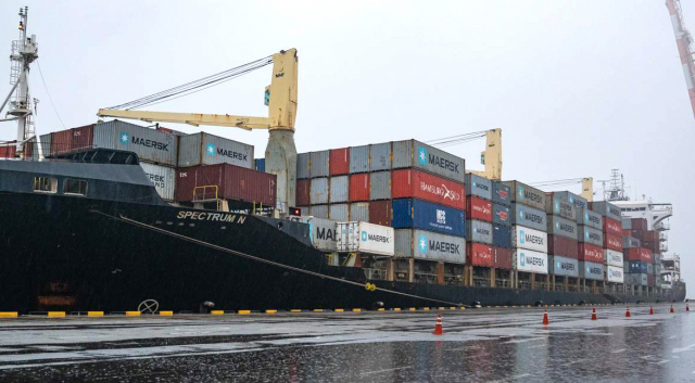 (사진=그린피스 제공)