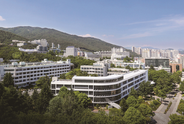 사진은 부산대 전경. 부산일보DB
