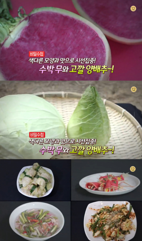 사진-'생방송 오늘 저녁'