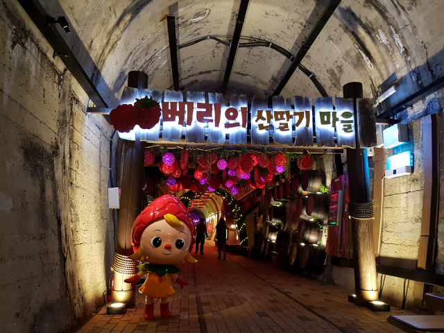 산딸기를 테마로 한 와인동굴로 변신한 옛 생림터널.