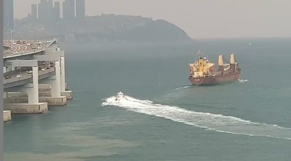 사진=독자 제공