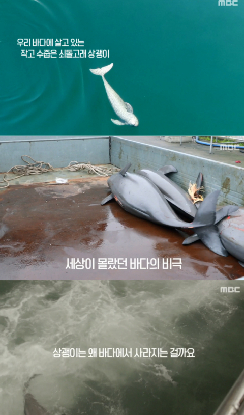 사진-'MBC스페셜' 예고편